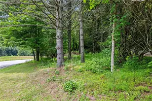 281 New Riv Farms Rd, Fleetwood, NC 28626 - Photo 39