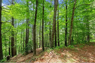 281 New River Farms Road, Fleetwood, NC 28626 - Photo 37