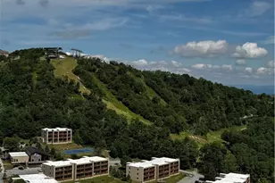 303 Sugar Top Dr, Sugar Mountain, NC 28604 - Photo 3