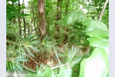 360 Kenmure Drive, Hendersonville, NC 28731 - Photo 13