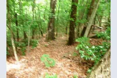 360 Kenmure Drive, Hendersonville, NC 28731 - Photo 15