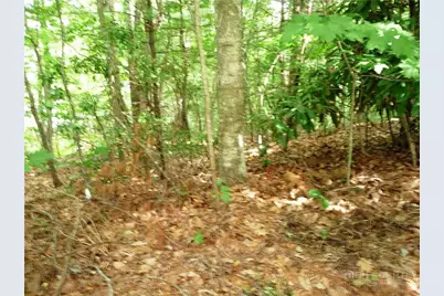 360 Kenmure Drive, Hendersonville, NC 28731 - Photo 1