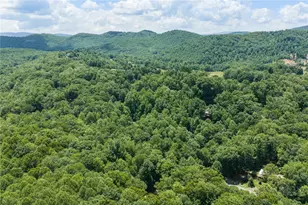 688 Laurel Creek Rd, Todd, NC 28684 - Photo 41