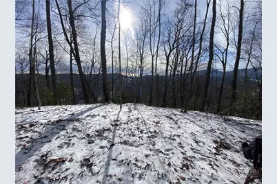 223 Rubin Walker Road, Vilas, NC 28692 - Photo 11