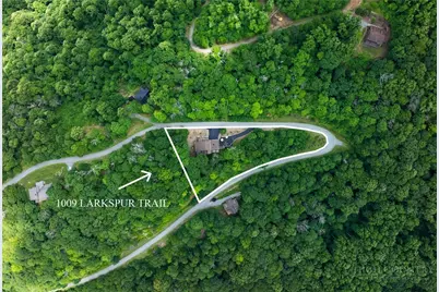 1009 Larkspur Trail, Banner Elk, NC 28604 - Photo 47