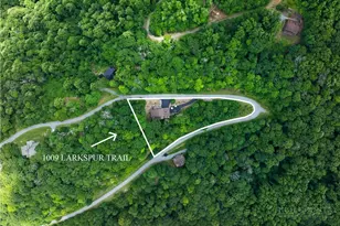 1009 Larkspur Trl, Banner Elk, NC 28604 - Photo 47