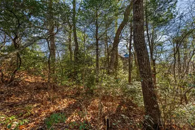 Lot 61 Boone Coffey Trail, Boone, NC 28607 - Photo 7