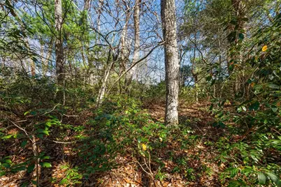 Lot 61 Boone Coffey Trail, Boone, NC 28607 - Photo 9