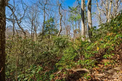 Lot 61 Boone Coffey Trail, Boone, NC 28607 - Photo 11