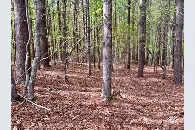Lot 161/162 Rocky Falls Lane, Lenoir, NC 28645 - Photo 9