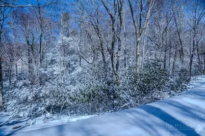 252 Greenbriar Road, Beech Mountain, NC 28604 - Photo 7