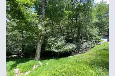 252 Greenbriar Road, Beech Mountain, NC 28604 - Photo 1