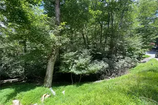252 Greenbriar Rd, Beech Mountain, NC 28604 - Photo 1