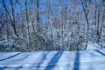 252 Greenbriar Road, Beech Mountain, NC 28604 - Photo 9