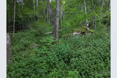 Es16 Eagle Feather Trail, Banner Elk, NC 28604 - Photo 11