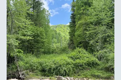 Tbd Elk Creek Road, Deep Gap, NC 28618 - Photo 45
