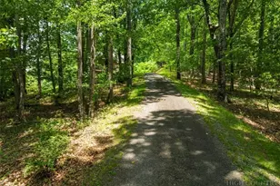 263 Running Bear Ln, Sparta, NC 28675 - Photo 5