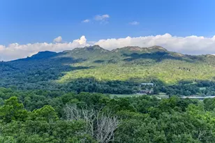 102 Ridge Dr, Linville, NC 28646 - Photo 47