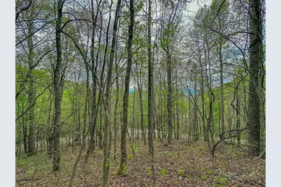 Tbd Silverleaf Road, Zionville, NC 28698 - Photo 23