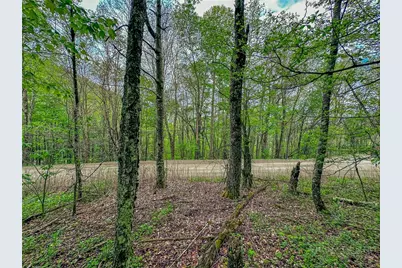 Tbd Silverleaf Road, Zionville, NC 28698 - Photo 21