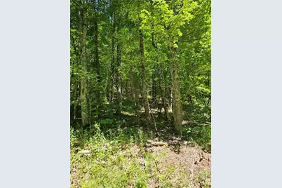 Tbd Silverleaf Road, Zionville, NC 28698 - Photo 21