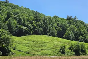 Lot 12 Elk River Rd, Elk Park, NC 28622 - Photo 1