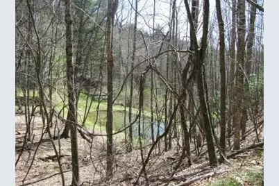 Lot 3 Sec 11 Talons Drive, Boone, NC 28607 - Photo 5