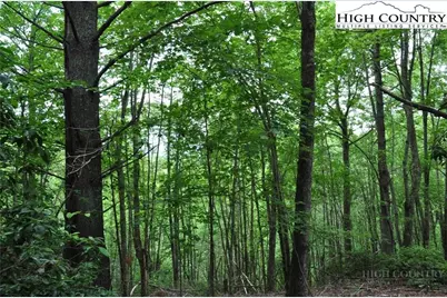 Lot 3 Sec 11 Talons Drive, Boone, NC 28607 - Photo 11