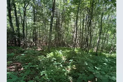 Tbd Big Flatts Church Road, Fleetwood, NC 28626 - Photo 15