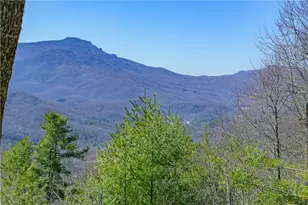 187 Hialeah Ln, Boone, NC 28607 - Photo 7