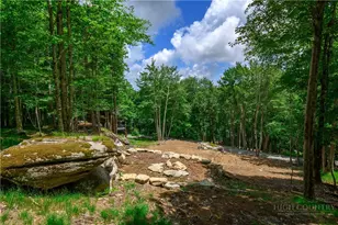 108 Windridge +2 Lots Rd, Beech Mountain, NC 28604 - Photo 39