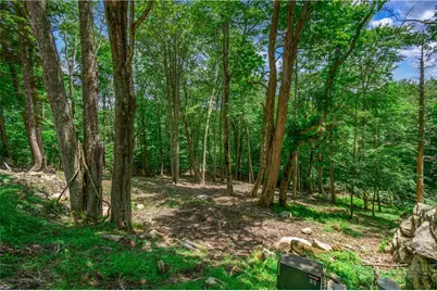 108 Windridge Road, Beech Mountain, NC 28604 - Photo 37