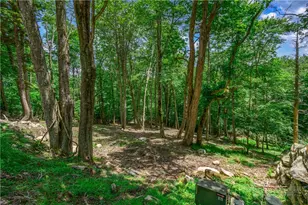 108 Windridge Rd, Beech Mountain, NC 28604 - Photo 37