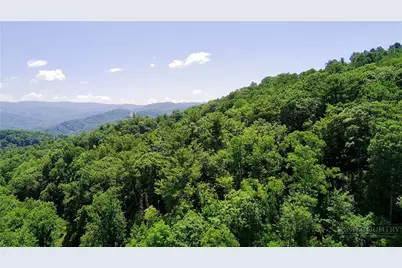 Tbd Council Ward Road, Sugar Grove, NC 28679 - Photo 5