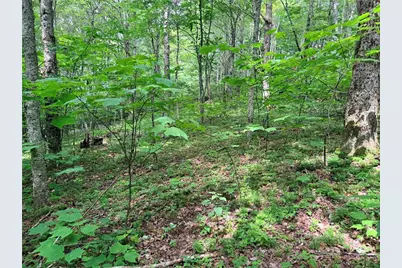 Tbd Chestnut Mountain Road, Banner Elk, NC 28604 - Photo 11