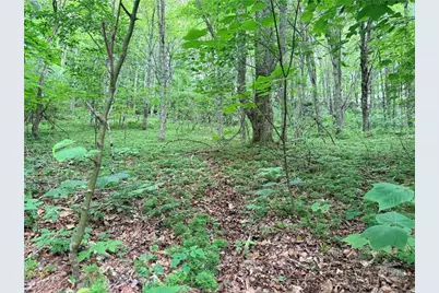 Tbd Chestnut Mountain Road, Banner Elk, NC 28604 - Photo 7