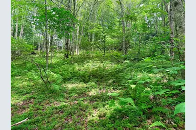 Tbd Chestnut Mountain Road, Banner Elk, NC 28604 - Photo 5