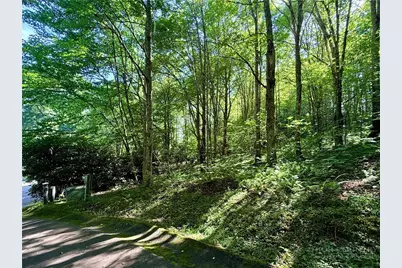 Tbd Chestnut Mountain Road, Banner Elk, NC 28604 - Photo 3