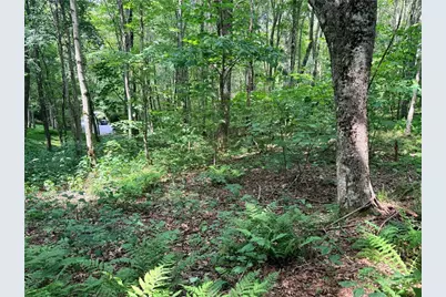 Tbd Chestnut Mountain Road, Banner Elk, NC 28604 - Photo 15