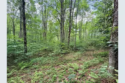 Tbd Chestnut Mountain Road, Banner Elk, NC 28604 - Photo 17
