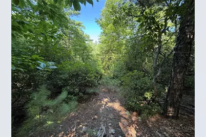 Lots 171 & 172B Blue Rock Road, Purlear, NC 28665 - Photo 15