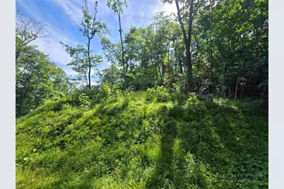 Tbd Green Cove Road, Sugar Mountain, NC 28604 - Photo 5