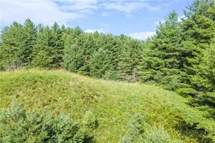 Lot 31 Alleghany Beauty, Piney Creek, NC 28663 - Photo 1