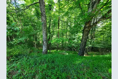 886 Hanging Rock Road, Spruce Pine, NC 28777 - Photo 9