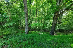886 Hanging Rock Rd, Spruce Pine, NC 28777 - Photo 9