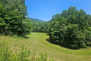 886 Hanging Rock Rd, Spruce Pine, NC 28777 - Photo 3