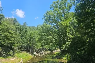 886 Hanging Rock Rd, Spruce Pine, NC 28777 - Photo 43
