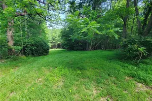 886 Hanging Rock Rd, Spruce Pine, NC 28777 - Photo 45