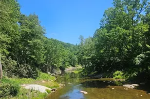 886 Hanging Rock Rd, Spruce Pine, NC 28777 - Photo 41