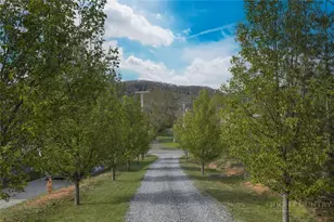 164 Apple Blossom Ln, Banner Elk, NC 28604 - Photo 13